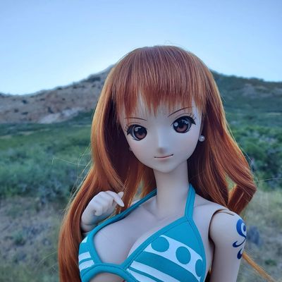 ONE PIECE NAMI – Smart Doll Store